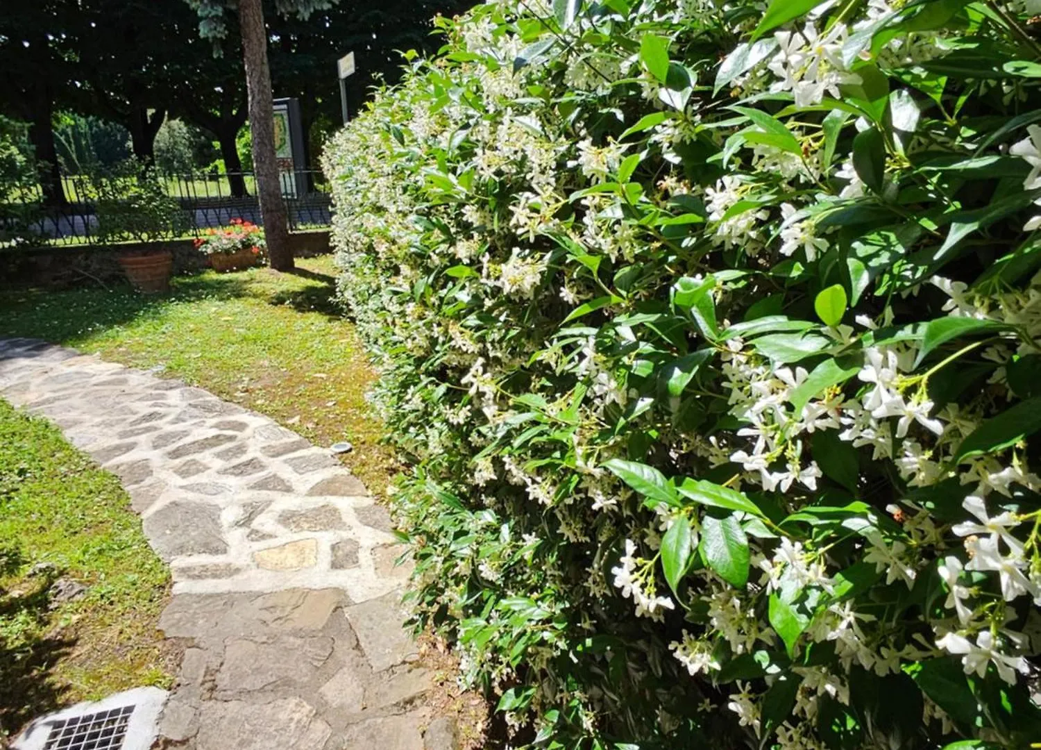 B&B Casa Tessieri Lucca