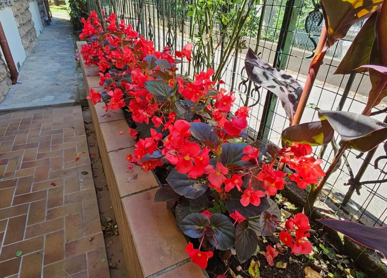 B&B Casa Tessieri Lucca Bed & Breakfast